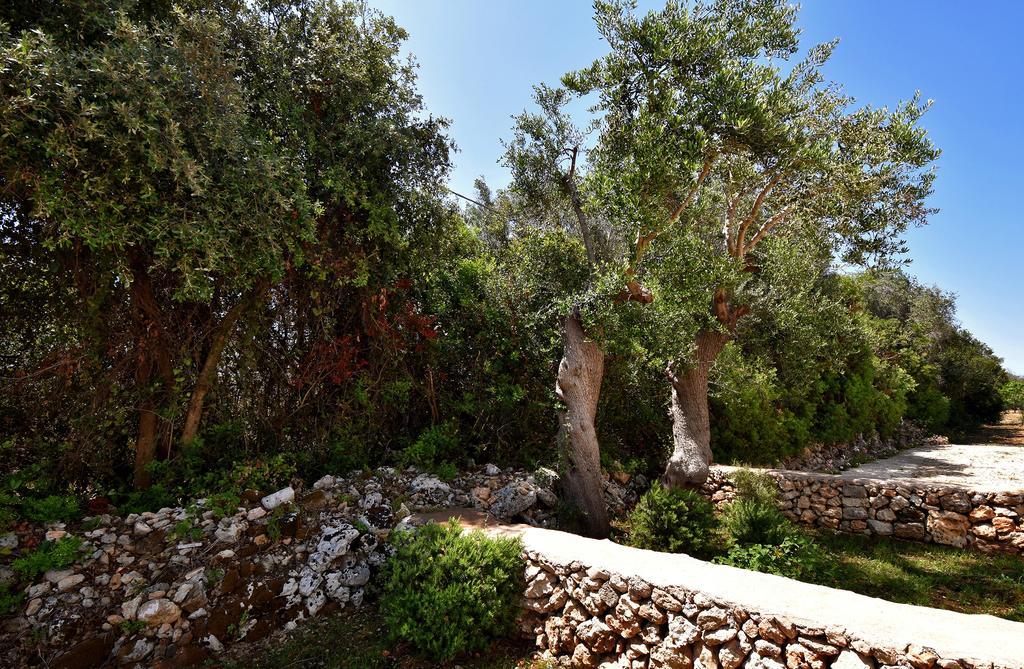 Masseria Pitanni Gallipoli Kültér fotó